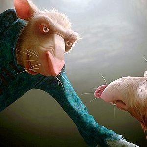 Bilder Robert Stevenhagen