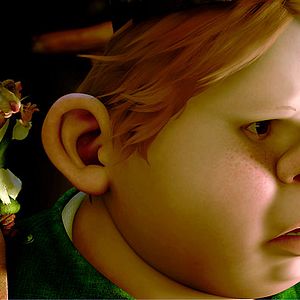 Bilder Robert Stevenhagen