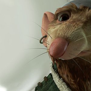 Bilder Robert Stevenhagen