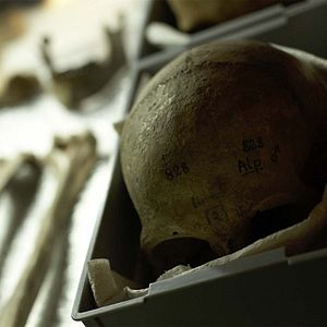 Bilder Jacques-Olivier Molon