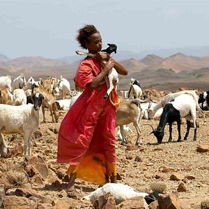 Bilder Sherry Hormann