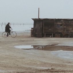 Bilder Aleksey German