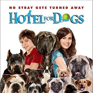 Bilder Das Hundehotel