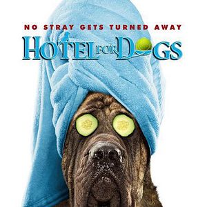 Bilder Das Hundehotel