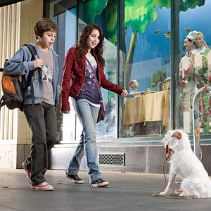 Bilder Das Hundehotel