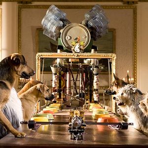 Bilder Das Hundehotel