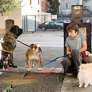 Bilder Das Hundehotel