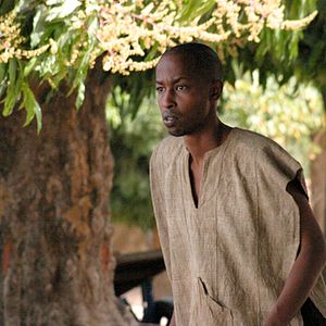 Bilder Faro, die Königin des Wassers