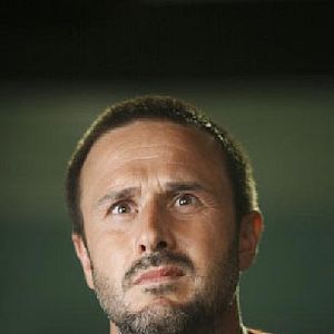 Bilder Pushing Daisies