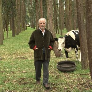 Bilder Botero - Geboren in Medellin