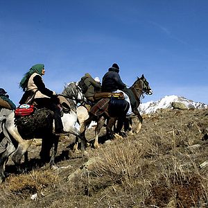 Bilder Arash T. Riahi