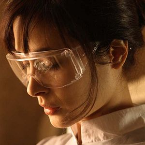 Bilder Das leere Nest