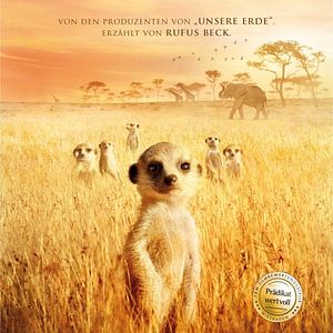 Bilder Wächter der Wüste