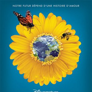 Bilder Wings of Life