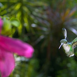 Bilder Louie Schwartzberg