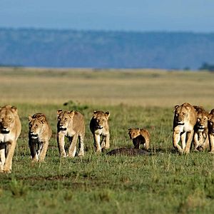 Bilder Alastair Fothergill