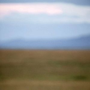 Bilder Im Reich der Raubkatzen