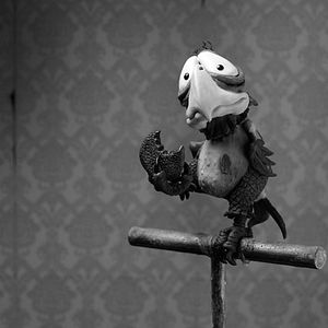Bilder Mary & Max - oder Schrumpfen Schafe wenn es regnet?