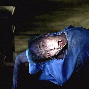 Bilder Michael Sassone