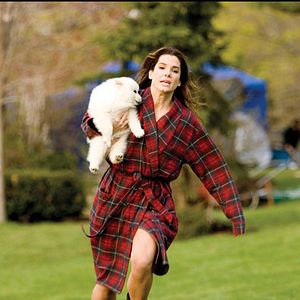 Bilder Sandra Bullock