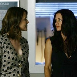 Bilder Christa Miller-Lawrence