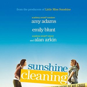 Bilder Sunshine Cleaning