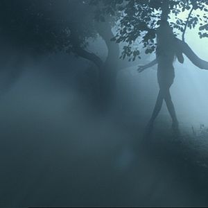 Bilder Bruno Aveillan