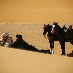 Bilder Bruce Neibaur