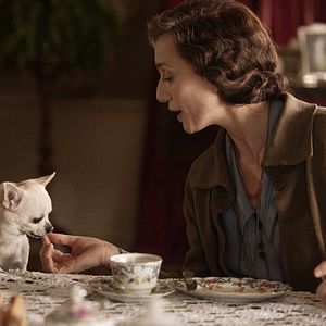 Bilder Stephan Elliott