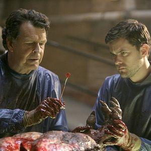 Bilder Joshua Jackson