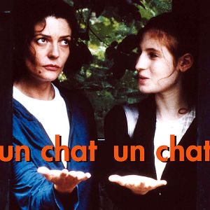 Bilder Un Chat Un Chat