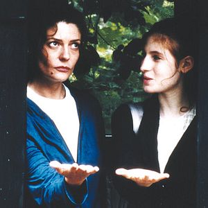 Bilder Un Chat Un Chat