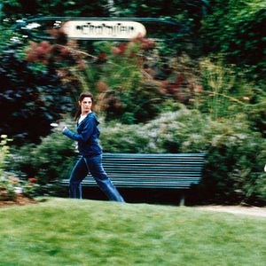 Bilder Un Chat Un Chat