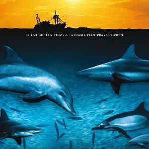 Bilder Wild Ocean 3D