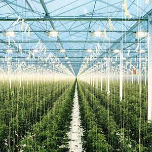 Bilder Pierre Barougier