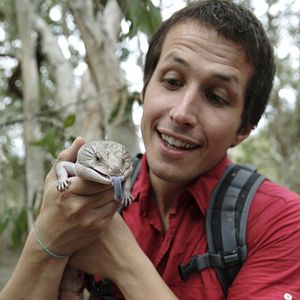 Bilder Willi und die Wunder dieser Welt