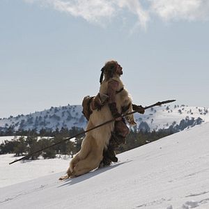 Bilder Jacques Malaterre