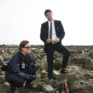 Bilder David Boreanaz