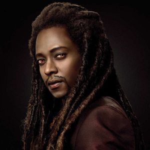 Bilder Stephenie Meyer