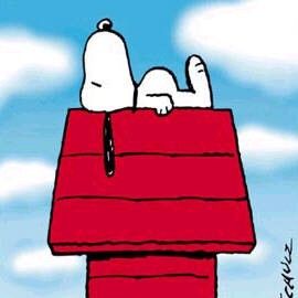 Bilder Die Charlie Brown und Snoopy Show