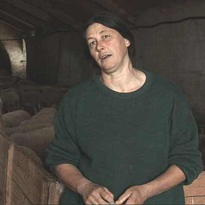 Bilder Catherine Pozzo Di Borgo