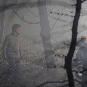 Bilder Daniel Radcliffe