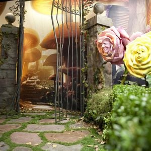 Bilder Alice im Wunderland