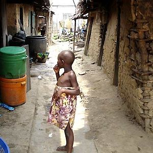 Bilder Franny Armstrong