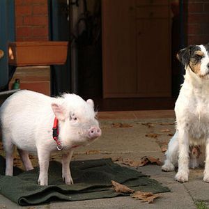 Bilder Da Kommt Kalle