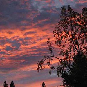 Bilder Babysitter Wanted