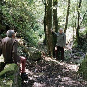 Bilder Dario Marconcini