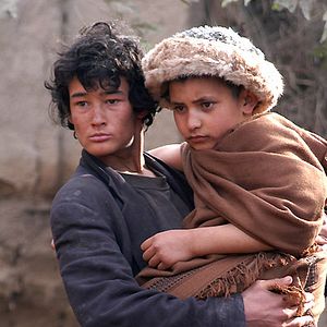 Bilder Two-Legged Horse