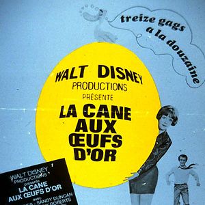 Bilder Die Millionen-Dollar-Ente