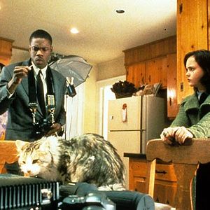 Bilder Dieser verflixte Kater